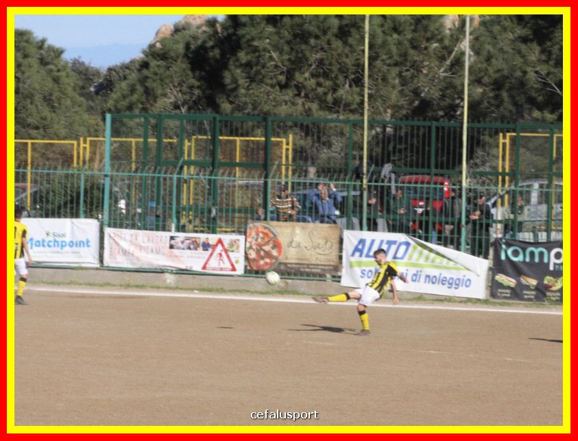 190310 Cephal_Torrenov 087_tn.jpg